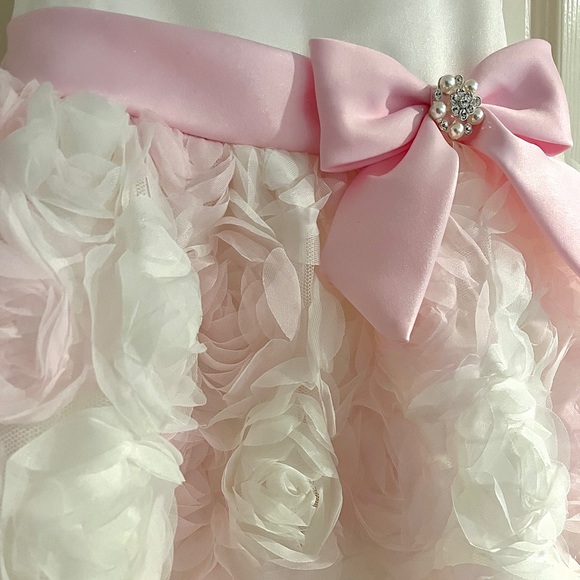 Rare Editions Girls 2/3T Satin Bodice with Floral Soutache Skirt Dress - Picture 5 of 5